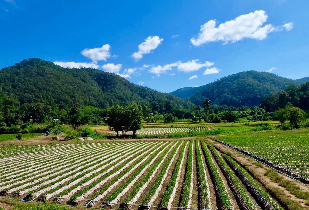 Wongwan Farm Villa Samoeng Exterior photo